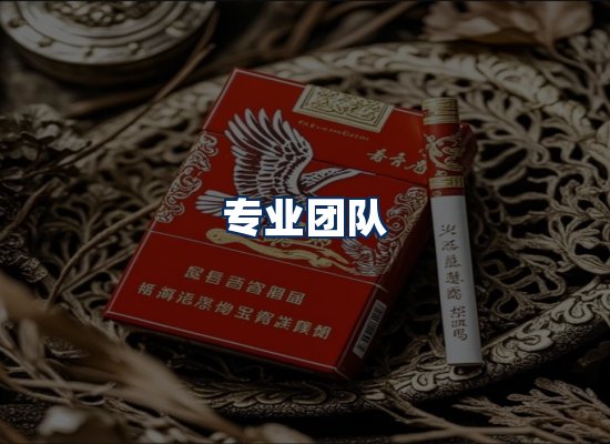 专业团队